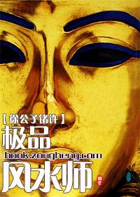 极品风水师 李成风