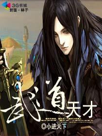武道天才流