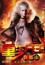 重生都市兵王女婿