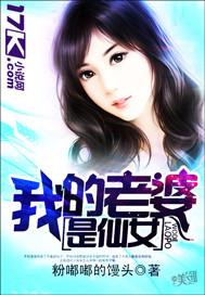 我的老婆是仙女大结局