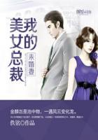 我的美女总裁未婚妻许停