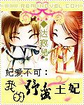 我的野蛮王妃宫2