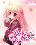 网王之伪少年