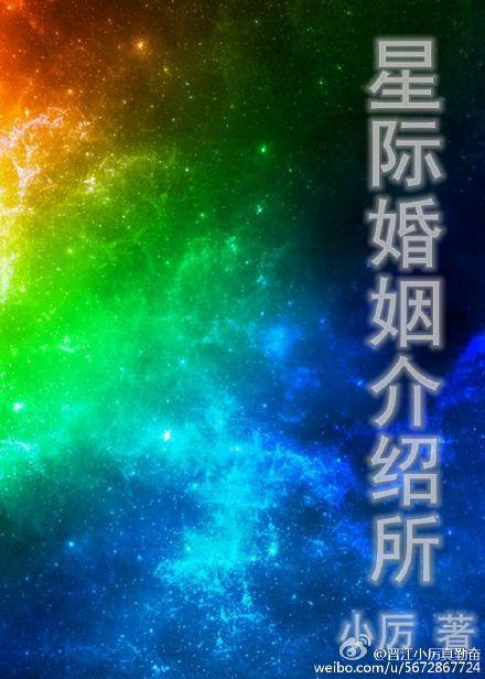 星际结婚指南by