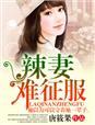辣妻难征服h