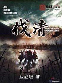 伐清从太子当流寇开始免费
