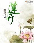 莲开头的电视剧名字
