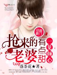 一见倾心宠妻无上限免费