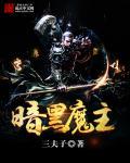暗黑魔电攻略