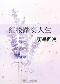 红楼踏实人生的现代篇