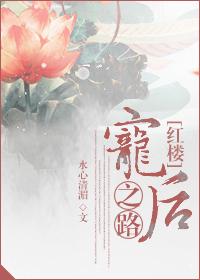 红楼之宠妃全文