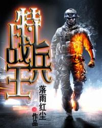 特战兵王叶枫