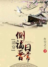 侧福晋守则(清穿)