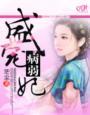 盛宠皇妃免费全本