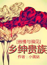 傲慢与偏见阶层
