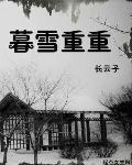 暮雪重重讲的什么