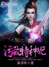 特种兵敌后