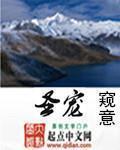 圣宠441针剂