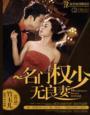 名门权少无良妻完整版