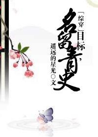 综穿目标养成