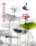 请播放蝶恋花