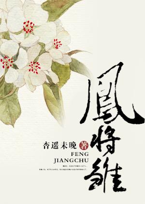 凤将雏txt