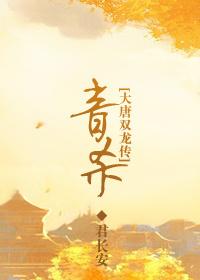 大唐双龙传主题歌