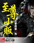 至尊xs