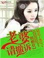 一纸婚约律师老婆难降服全文