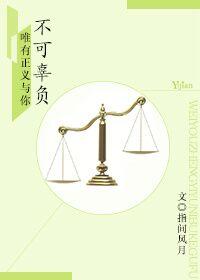 唯有正义与你不可辜负电视剧