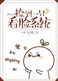 快穿之捡到一只看脸系统作者叶叶之秋