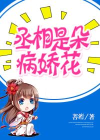 丞相如此多娇