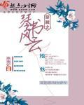 穿越琴棋书画全能