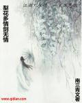 梨花情这首歌表达了什么感情