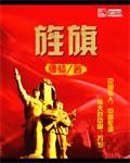 旌旗诗句