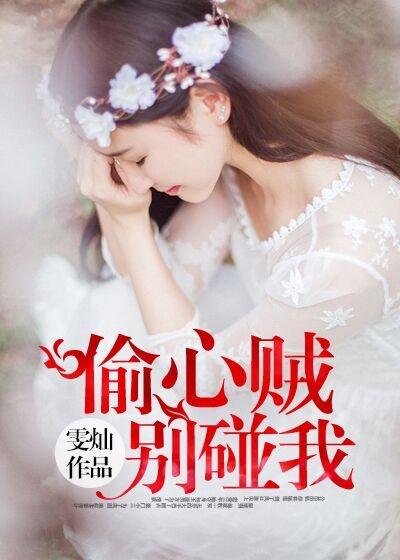 偷心贼txt