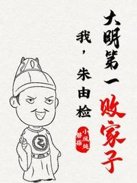 我,朱由检:大明第一败家子