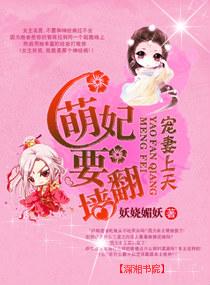 宠妻上天，萌妃要翻墙