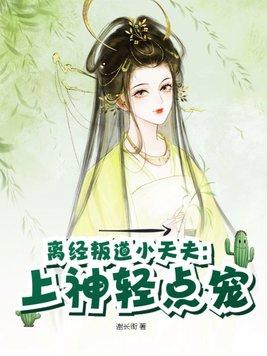 离经叛道小天夫:上神轻点宠